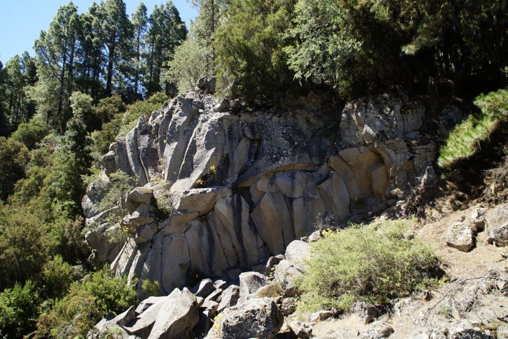 Sendero en Tenerife Norte