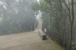 senderismo en tenerife