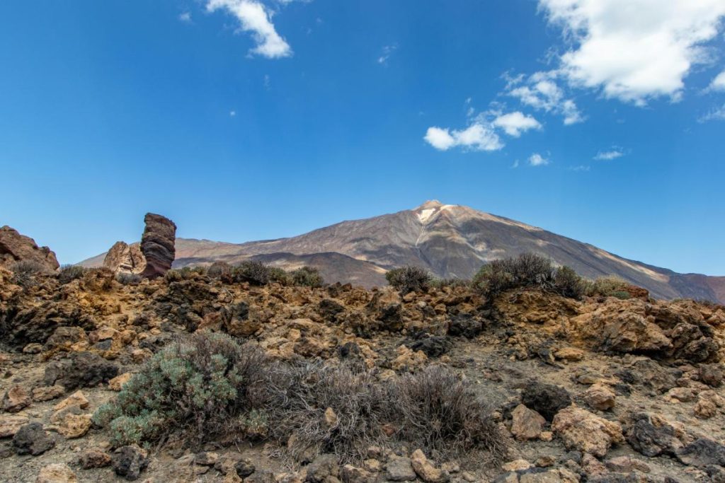 5 imprescindibles en tenerife