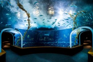 parques tematicos de tenerife