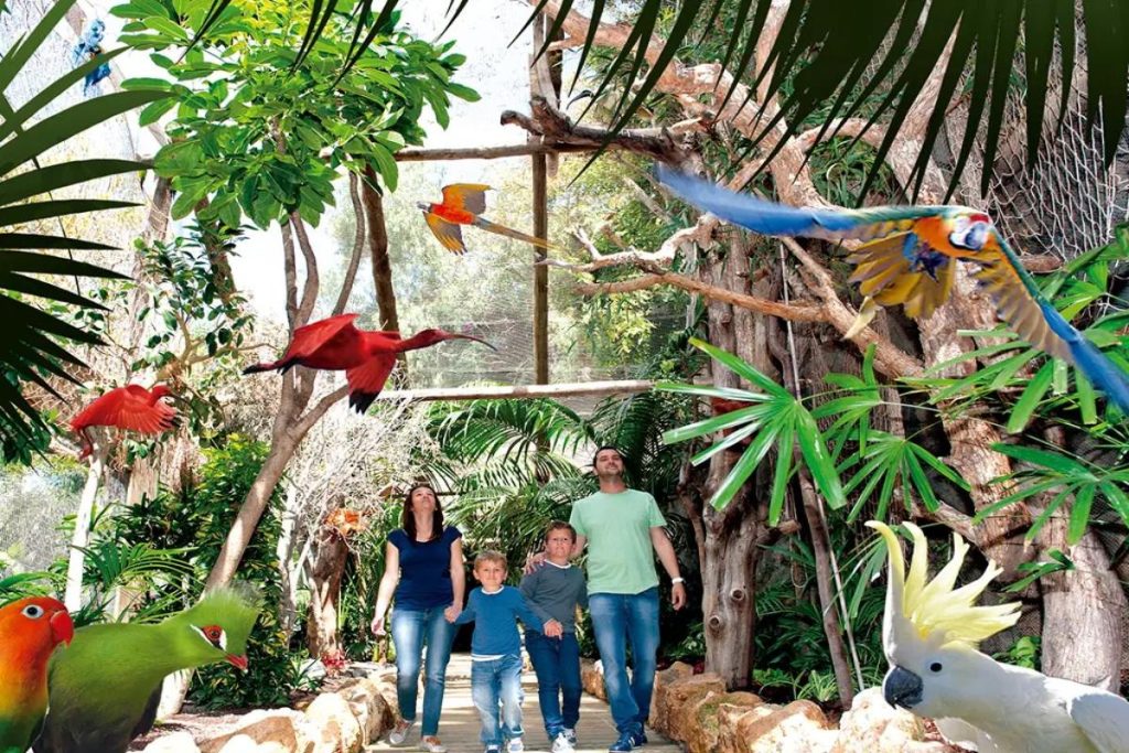 parques tematicos de tenerife jungle