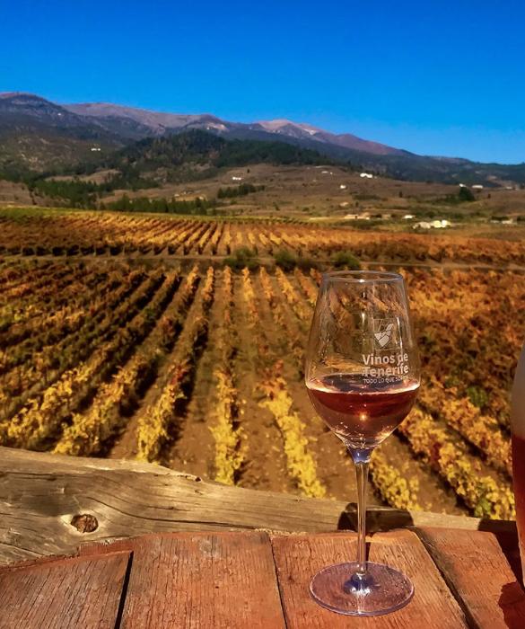 vino en tenerife rfhoteles