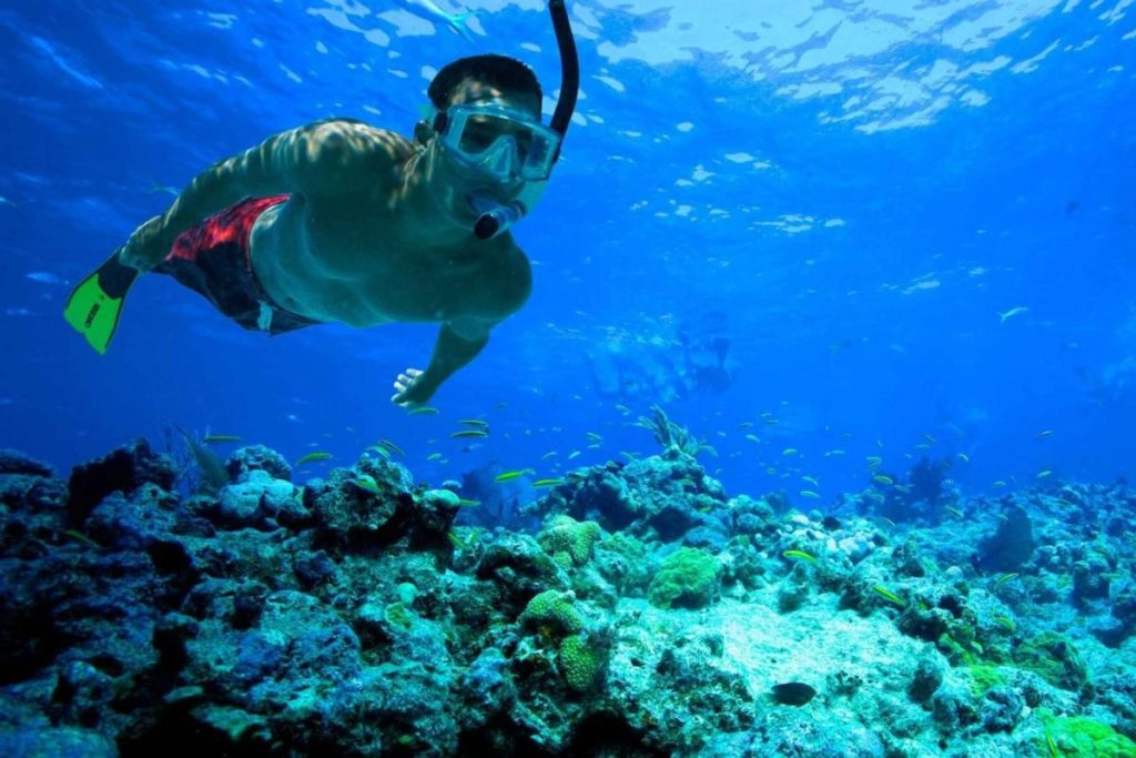 mejores spots de snorkel en tenerife
