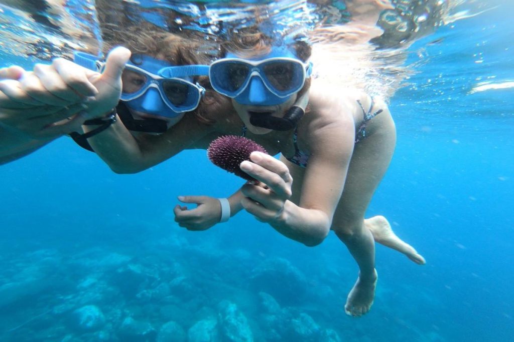 spots de snorkel en tenerife