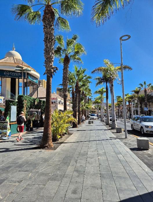 encantos ocultos en tenerife sur