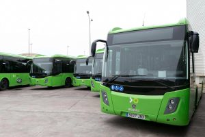 Consejos para Visitar Tenerife sin Coche