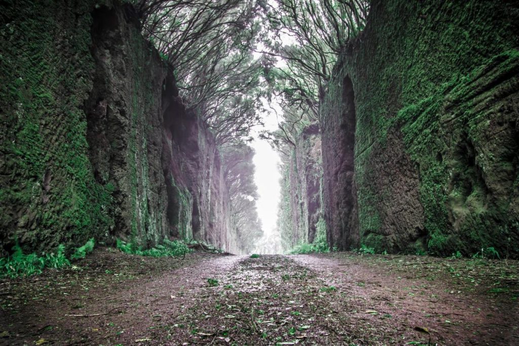 guia para explorar el parque rural de anaga tenerife pass