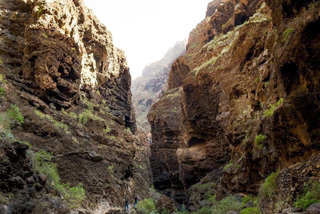 Lugares que Parecen de Otro Planeta en Tenerife masca