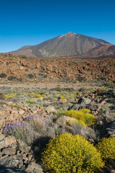 Lugares que Parecen de Otro Planeta en Tenerife teide