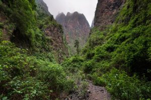 Rincones Misteriosos de Tenerife
