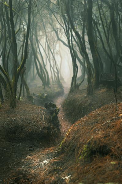 Parque Natural de la Corona Forestal 1