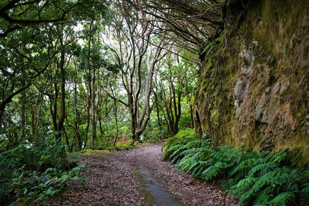 parques naturales de tenerife
