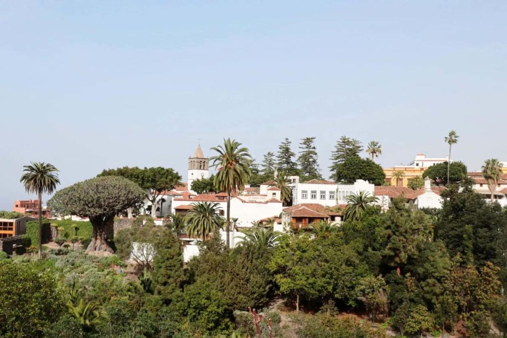 que ver en icod de los vinos 3