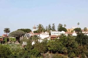 que ver en icod de los vinos 3